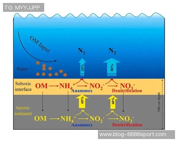 足球场的建设与管理实践探讨及其对社区发展的影响分析 足球场的建设与管理实践探讨及其对社区发展的影响分析